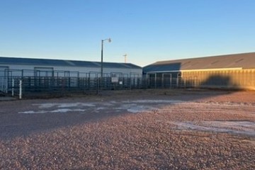 Two metal buildings and cattle pens on a sunny day.