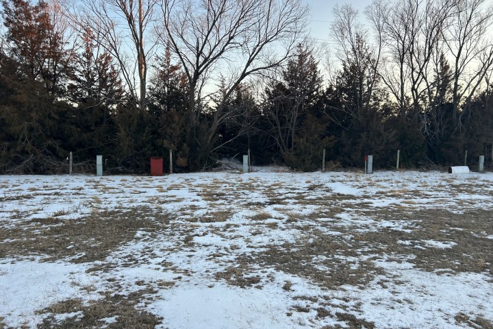 Snow-dusted field with sparse trees and a fence in the background.